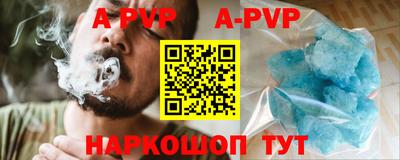 спиды Кингисепп