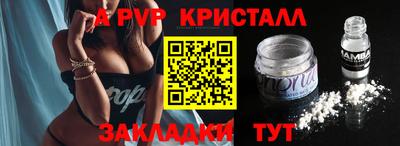 спиды Кингисепп