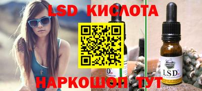 спиды Кингисепп