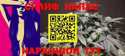 спиды Кингисепп
