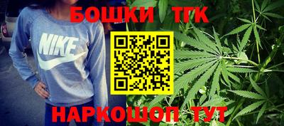 спиды Кингисепп