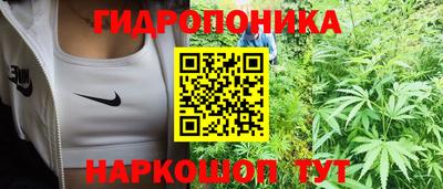 эйфоретик Кимры