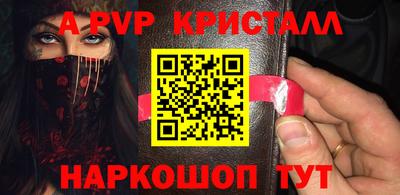 спиды Кингисепп