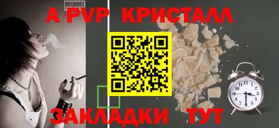спиды Кингисепп