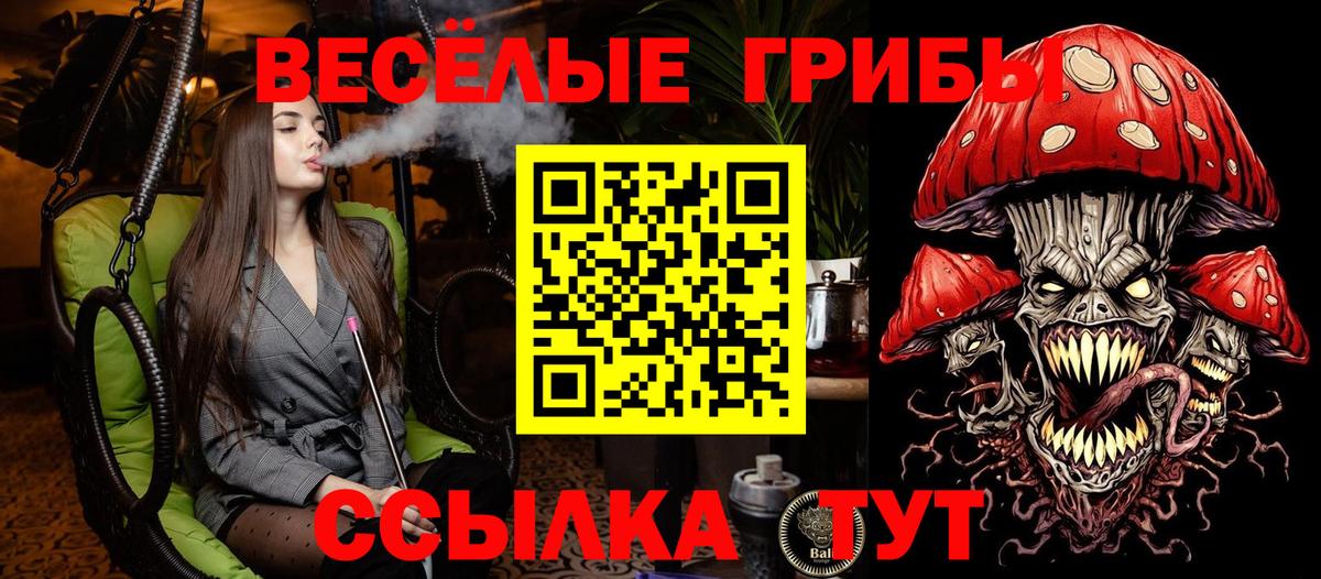 Галлюциногенные грибы Cubensis Георгиевск