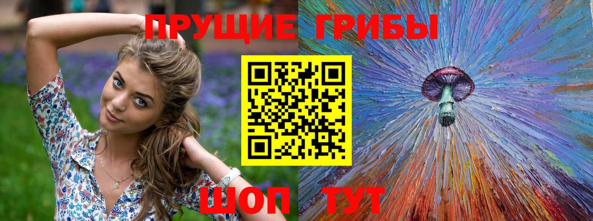 дарнет шоп  Галлюциногенные грибы Psilocybe  Вход с VPN  Галлюциногенные грибы мухоморы  Георгиевск 