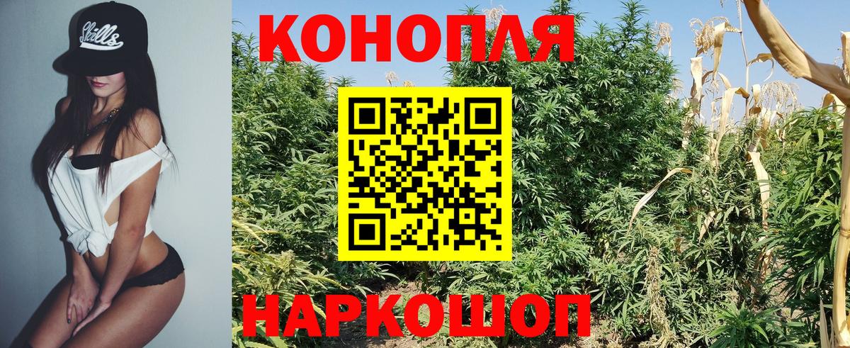 Марихуана конопля  Вход с VPN  Марихуана гибрид  Георгиевск  Бошки марихуана марихуана  Конопля ГИДРОПОН 